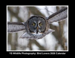 Bird Lovers 2026 Calendar