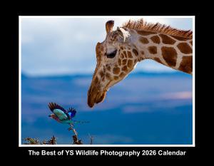 YS Wildlife Photography 2026 Calendar