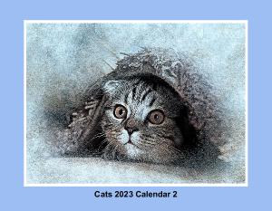 Cats 2023 Calendar 2