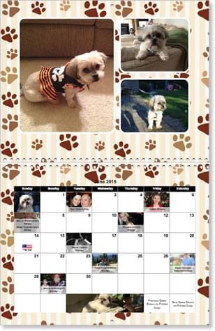 Pet Photo Calendars