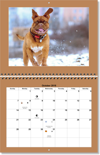 photo calendars