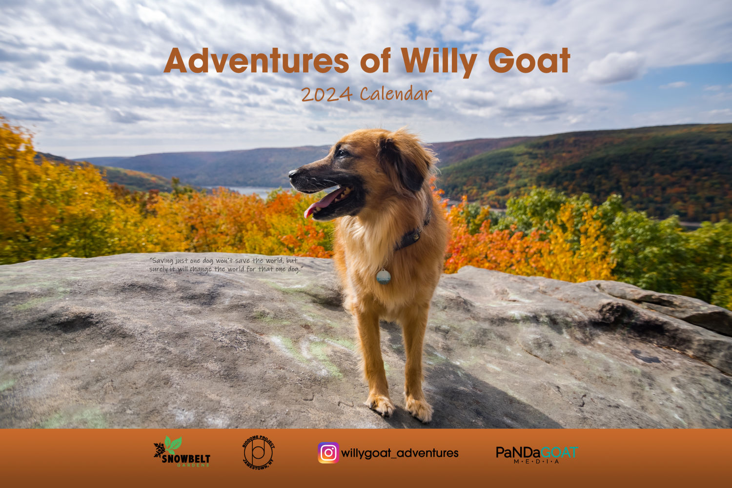 Adventures of Willy Goat