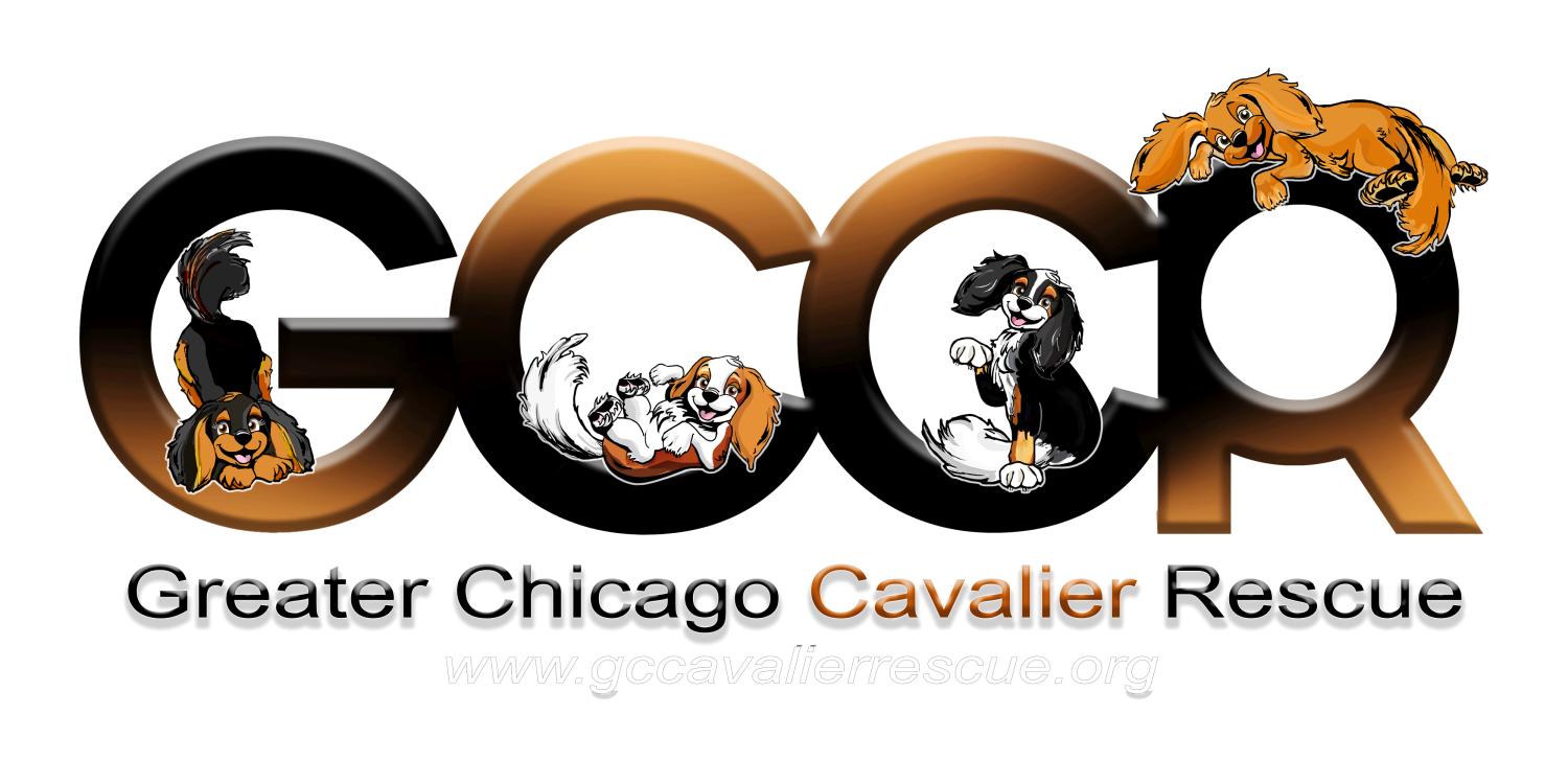 Greater Chicago Cavalier Rescue