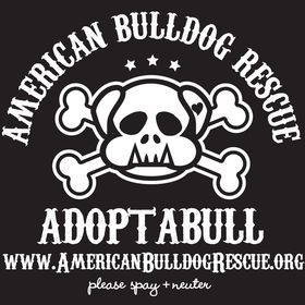American Bulldog Rescue