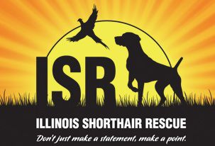 Illinois Shorthair Rescue