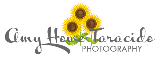 Amy Howe Taracido Photography