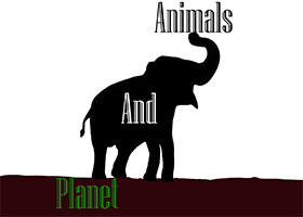 concordmiddleschoolanimalsandplanet