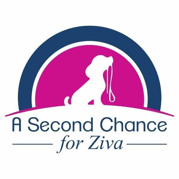 A Second Chance for Ziva