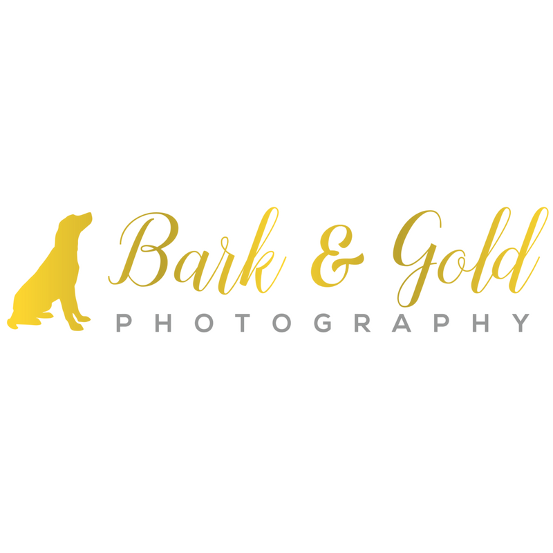 Bark and Gold Photography LLC