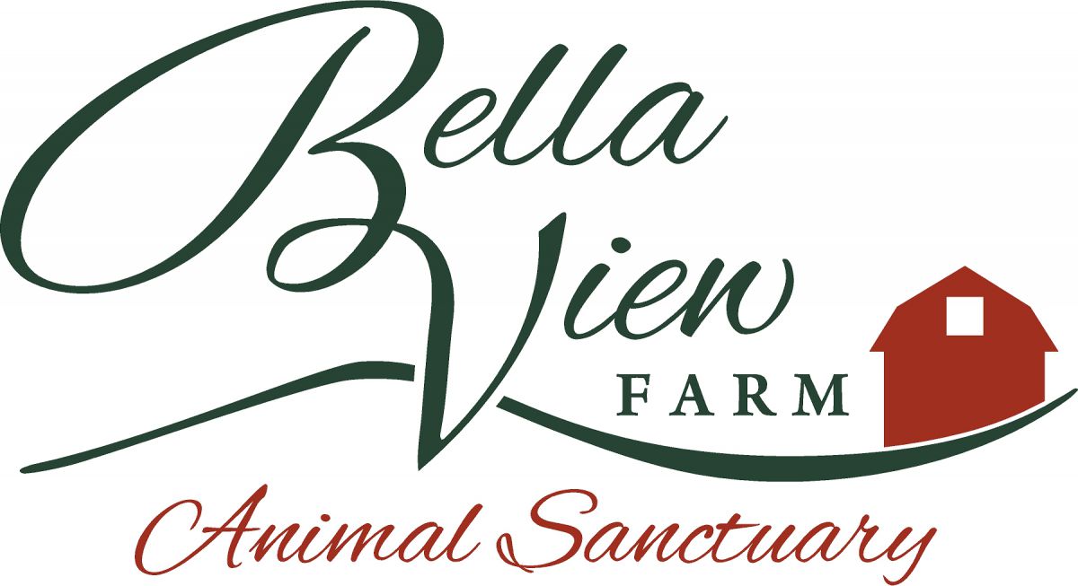 Bella View Farm Animal Sanctuary