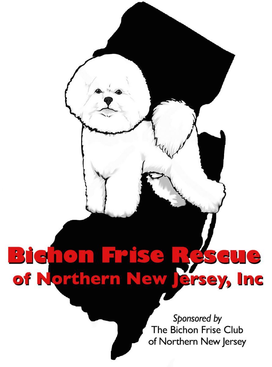 Bichon Frise Rescue of Northern NJ