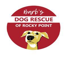 Barbs Dog Rescue of Rocky Point