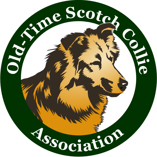 Old-Time Scotch Collie Association