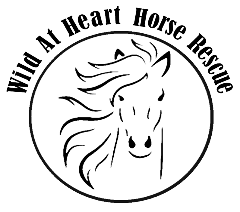 Wild at Heart Horse Rescue