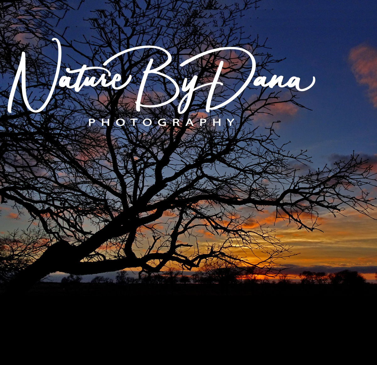 Nature By Dana