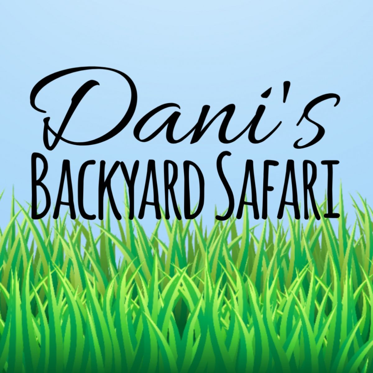 danisbackyardsafari