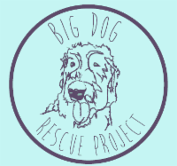 bigdogrescueproject