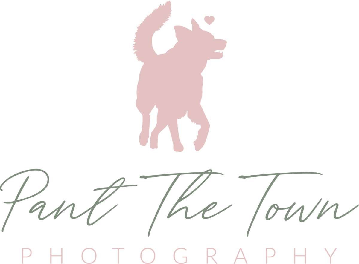 Project Photo