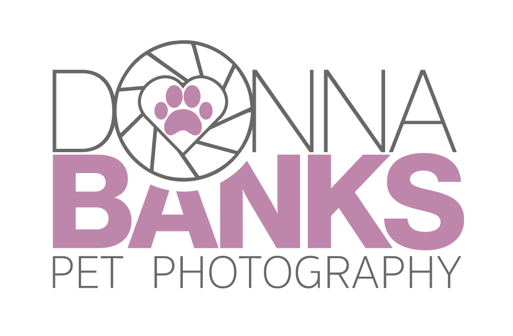 Donna Banks Pet Photography