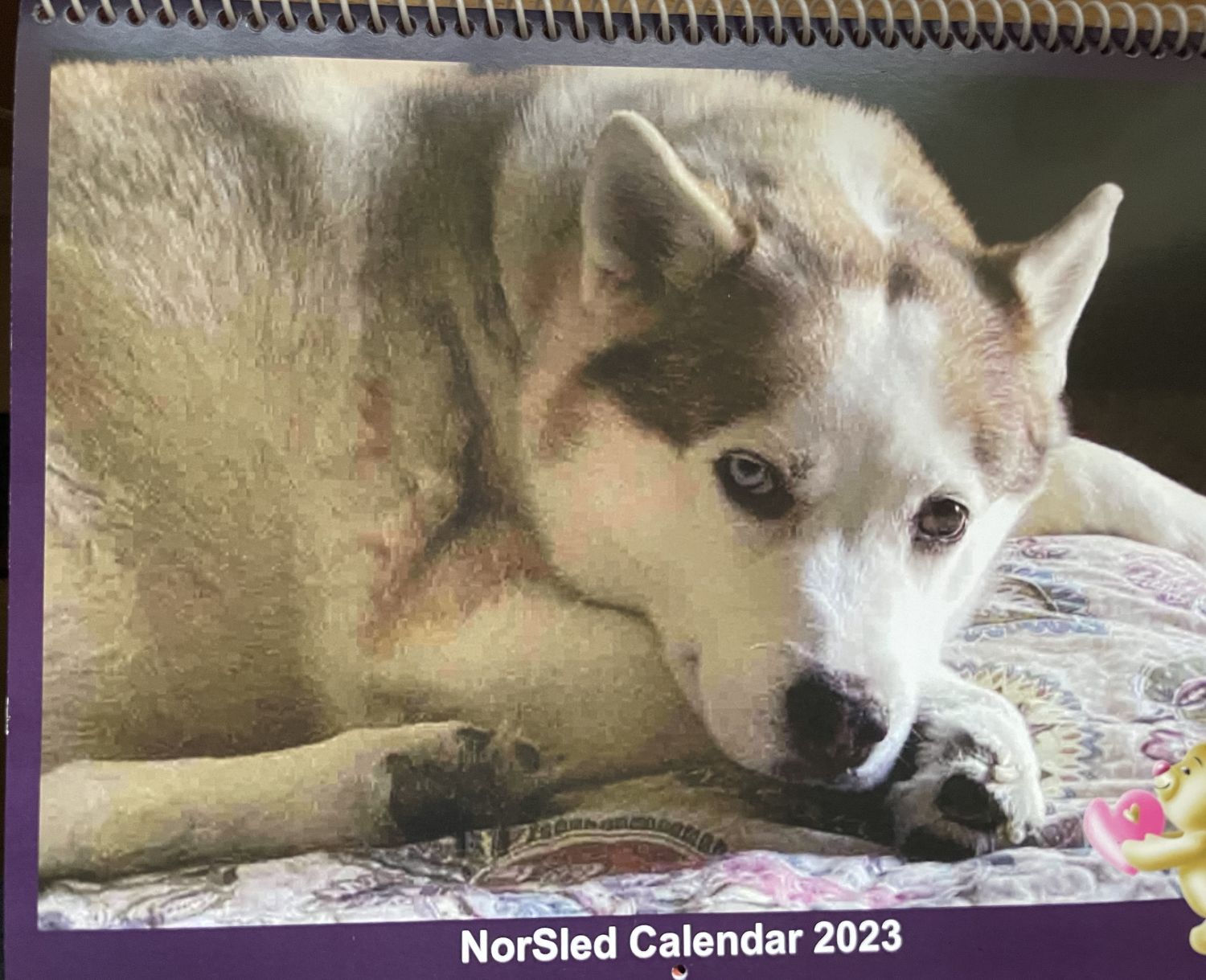 norsledcalendar