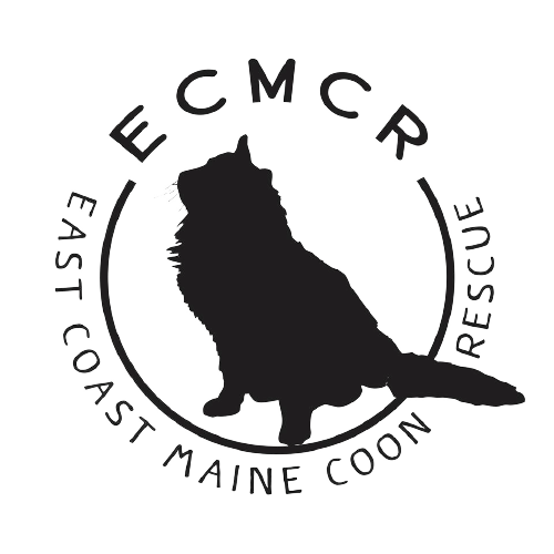 East Coast Maine Coon Rescue