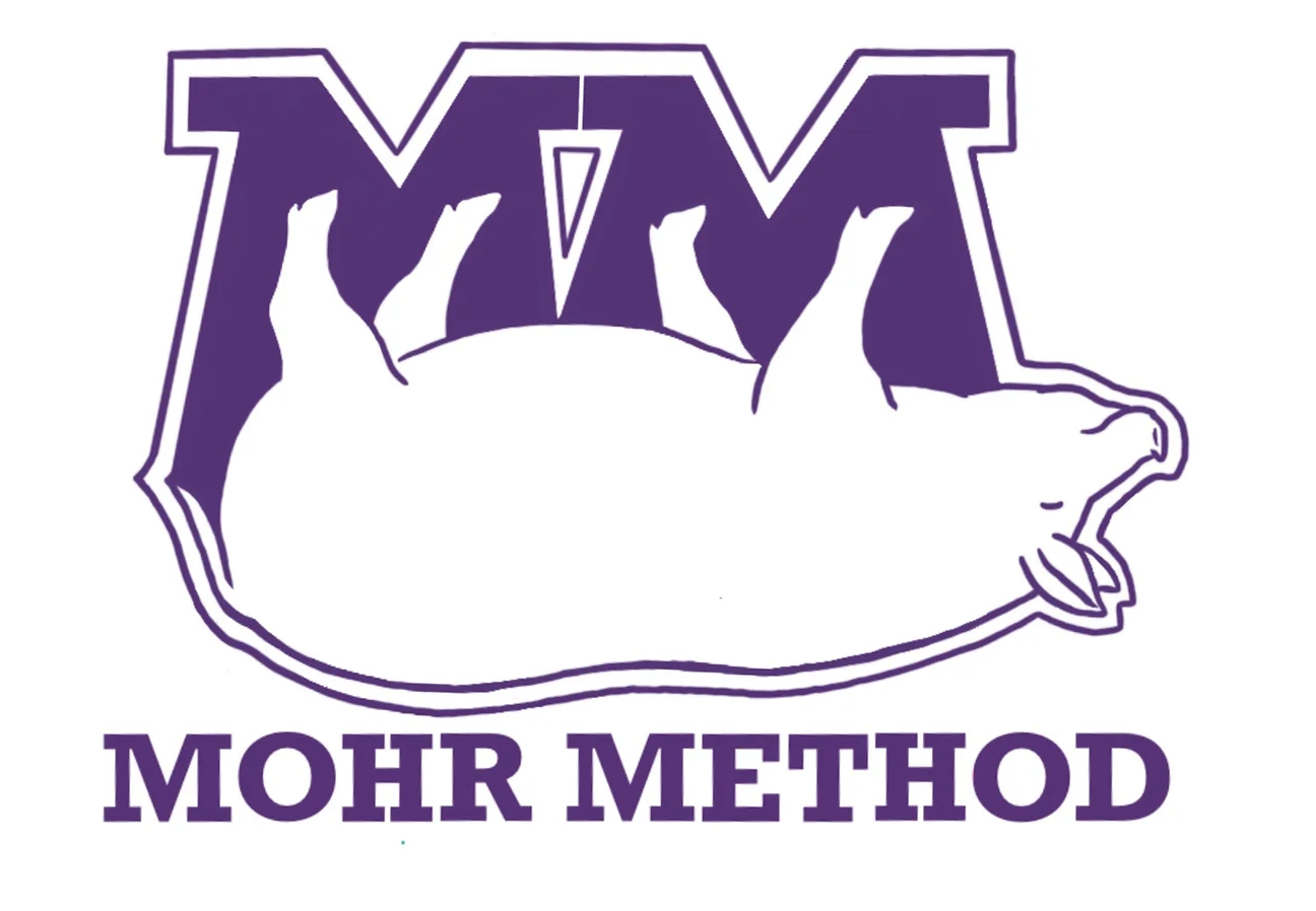 Mohr Method