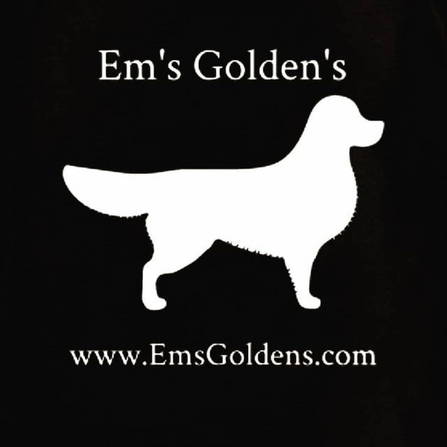 Ems Goldens