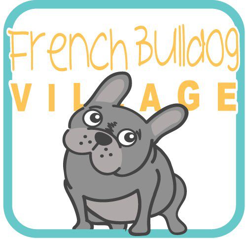 French Bulldog Village Rescue