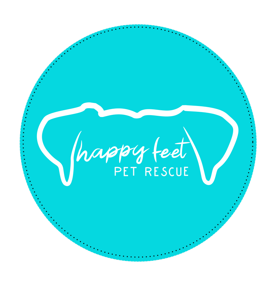 Happy Feet Pet Rescue Store Create Photo Calendars