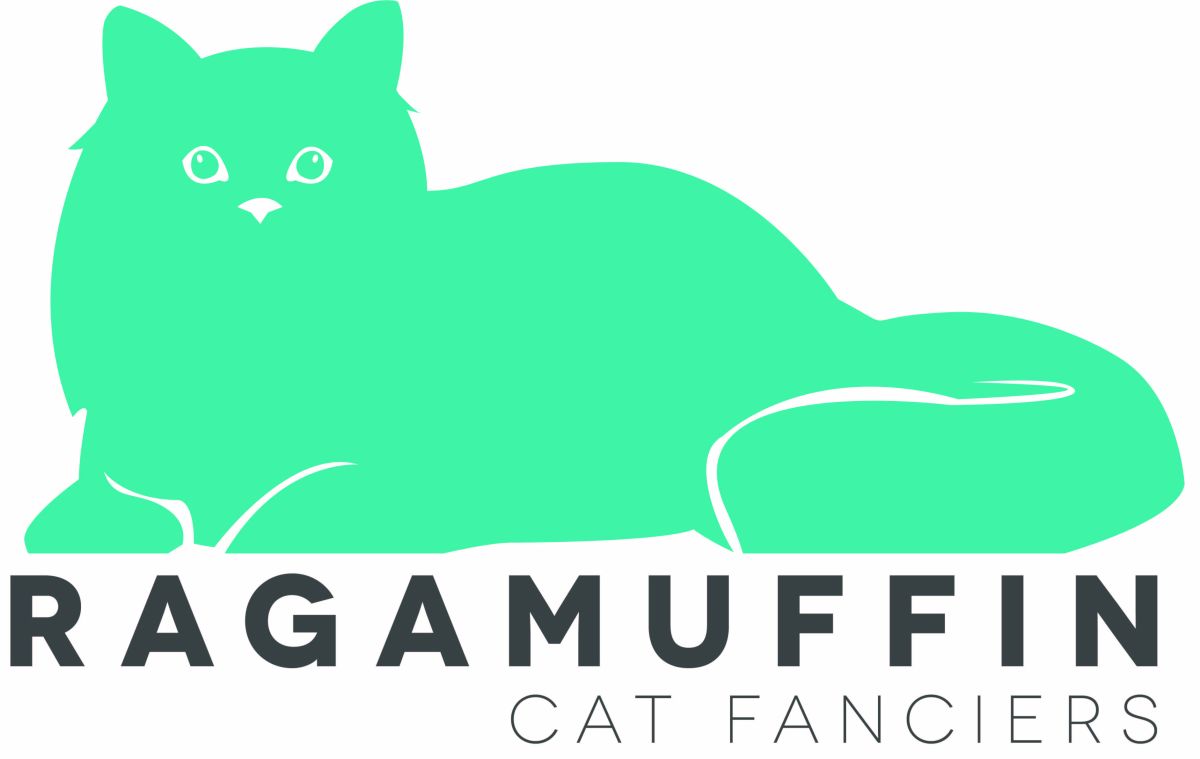 RagaMuffin Cat Fanciers