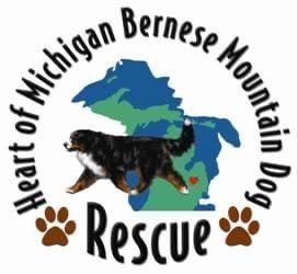 Heart of Michigan Bernese Mt Dog Rescue