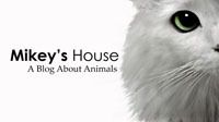 Mikeys Cat House Merchandise