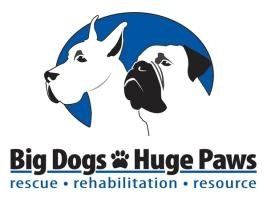Big Dogs Huge Paws 2018 Calendar
