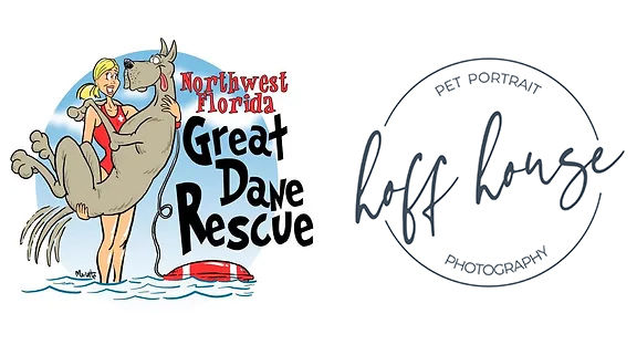 Northwest Florida Great Dane Rescue