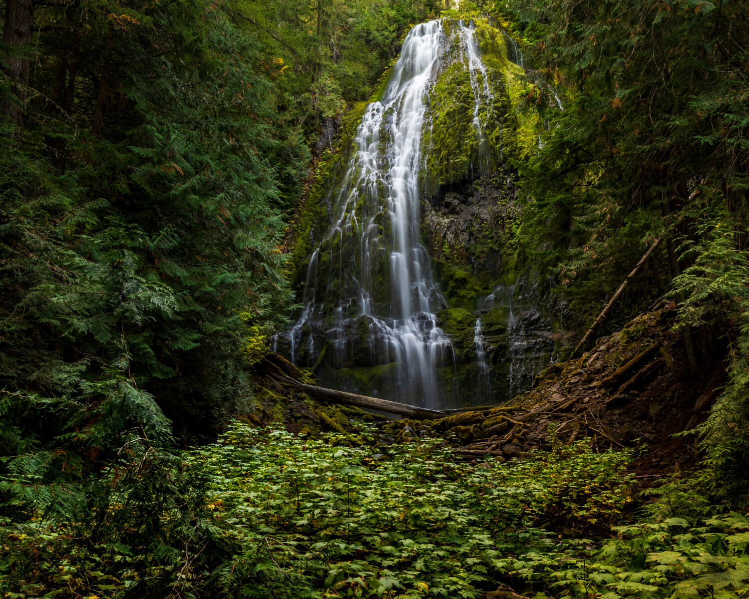 Jeff Risher Photography