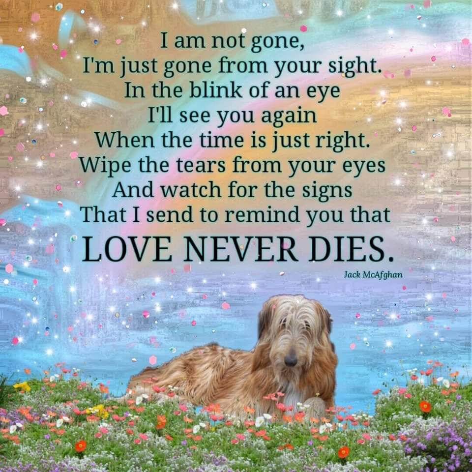 Jack McAfghans Rainbow Bridge Gift Shop