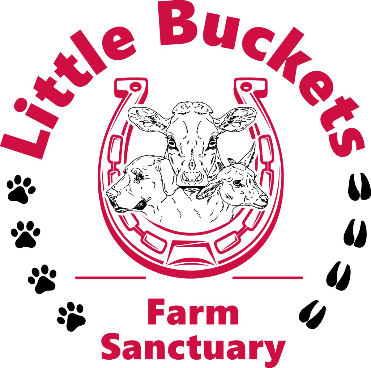 Little Buckets Farm Sanctuary