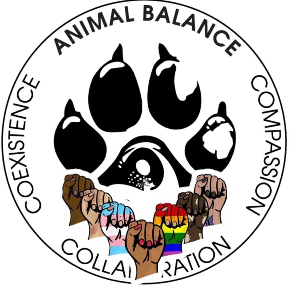 Animal balance store create photo calendars