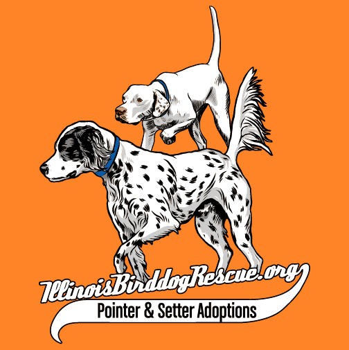 Illinois Birddog Rescue