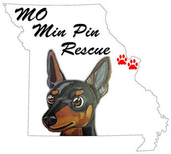 MO Min Pin Rescue 2026 Calendar