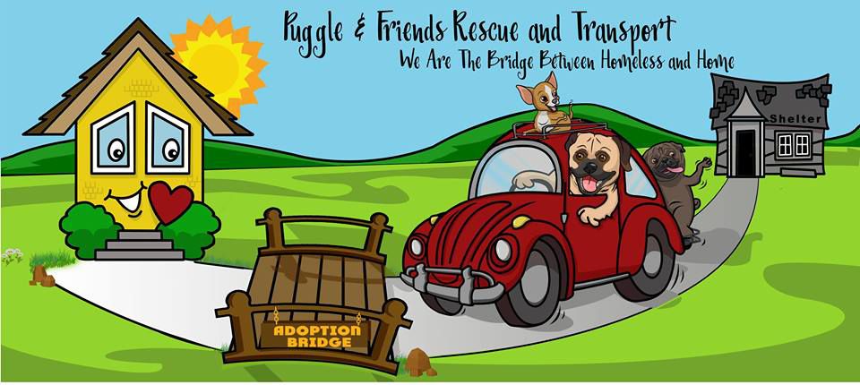 Puggle  Friends Rescue and transport
