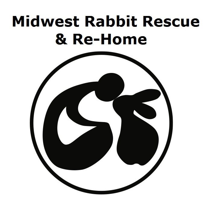 Midwest Rabbit Rescue  Re-Home