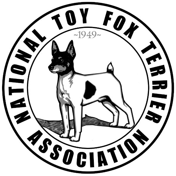 National Toy Fox Terrier Association