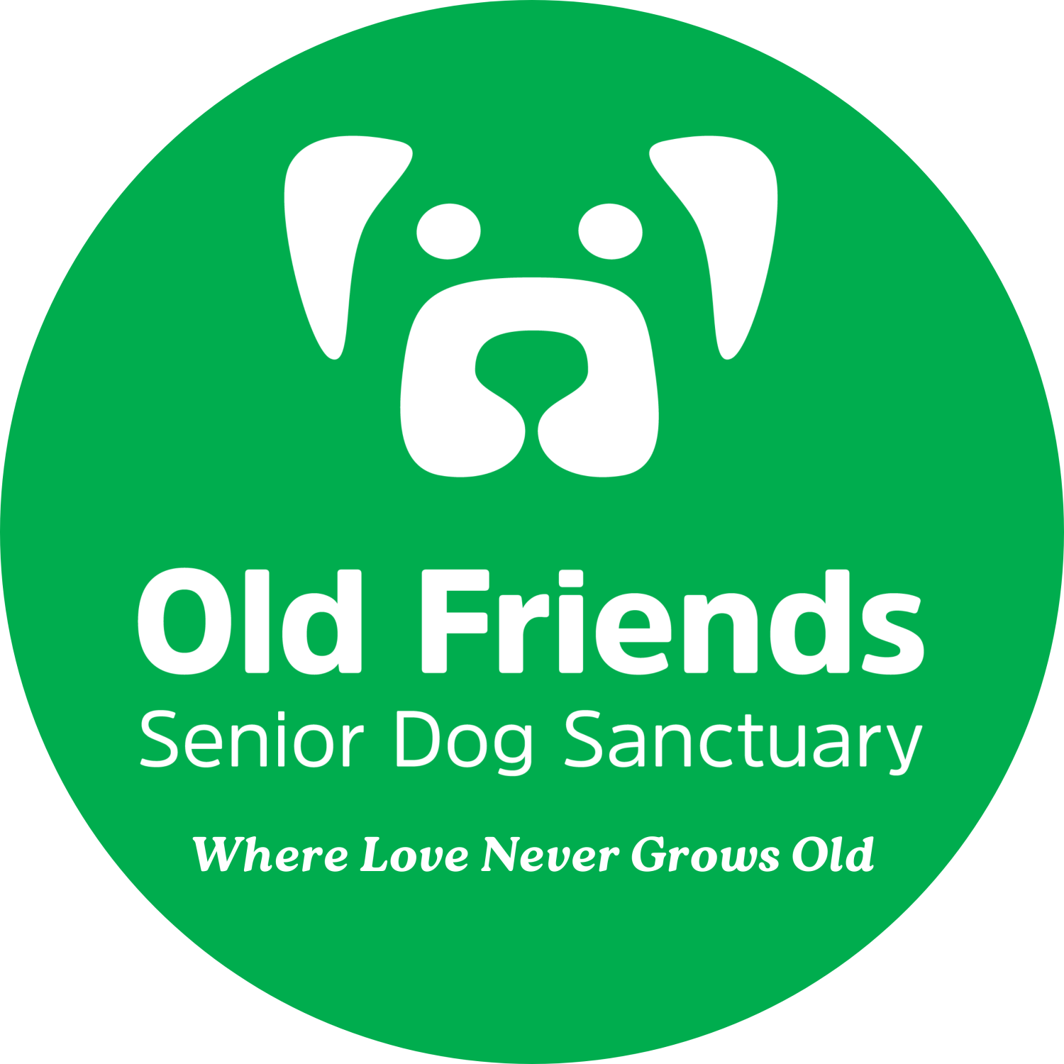 old-friends-senior-dog-sanctuary-store-create-photo-calendars