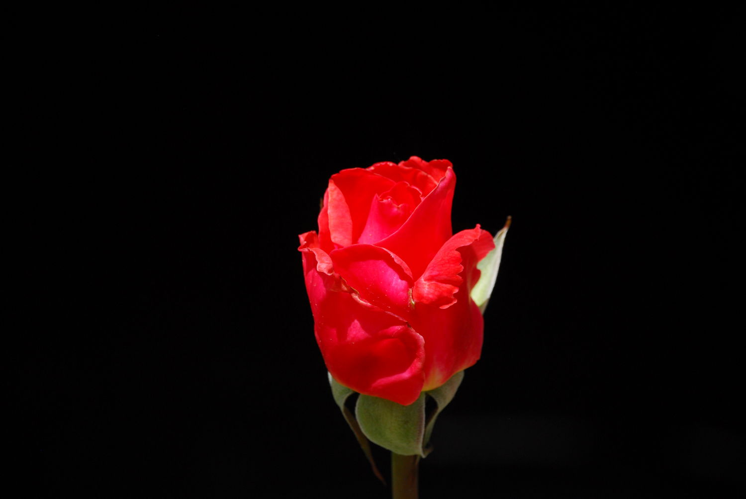 liv-store-create-photo-calendars