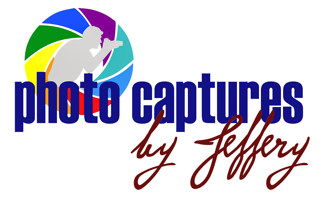 Photo Captures by Jeffery - Menagerie