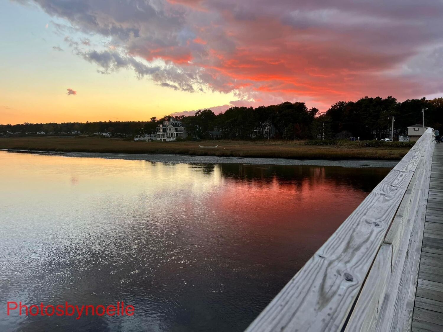 Photos By Noelle 2026 calendars