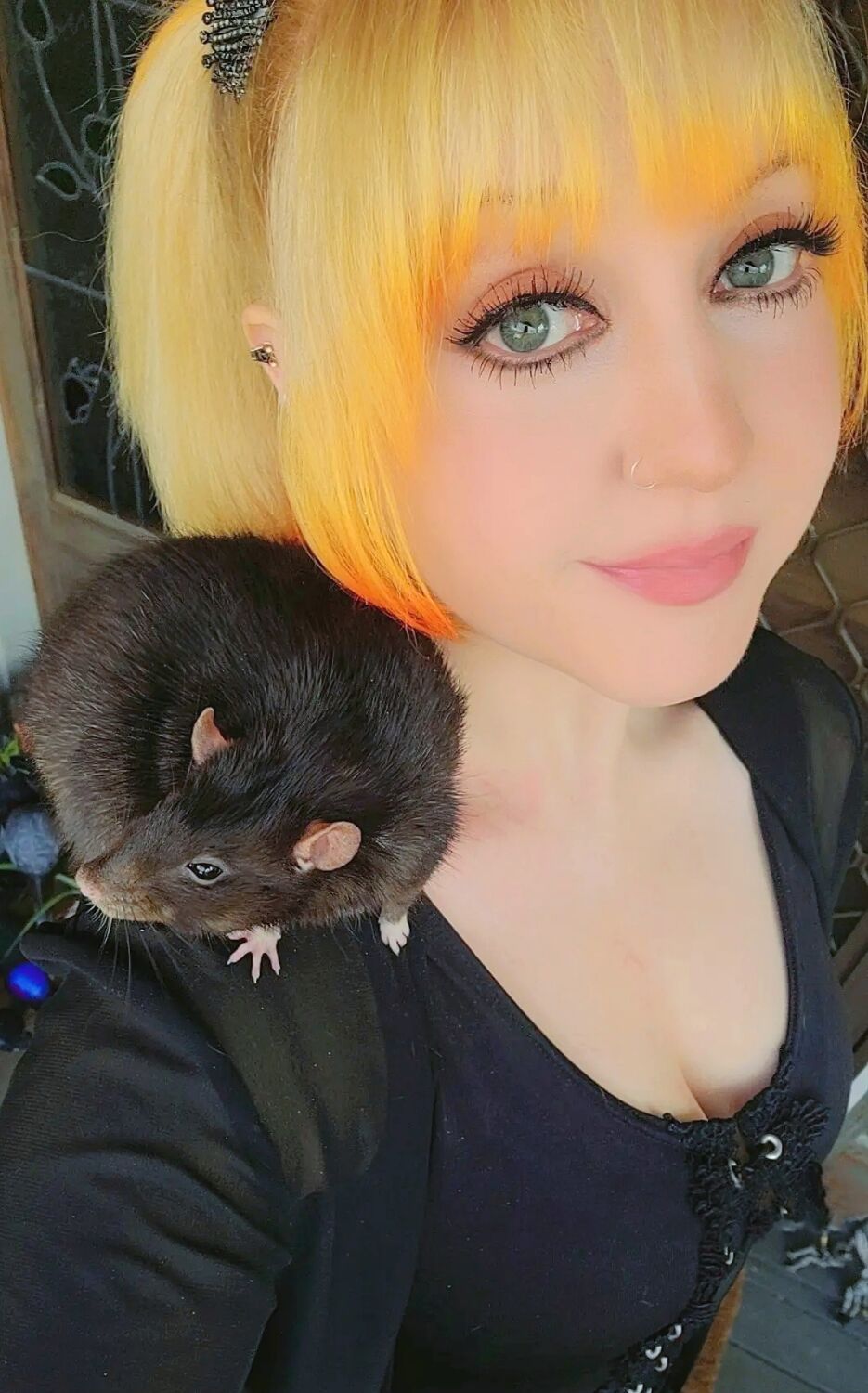 Ratz Furever