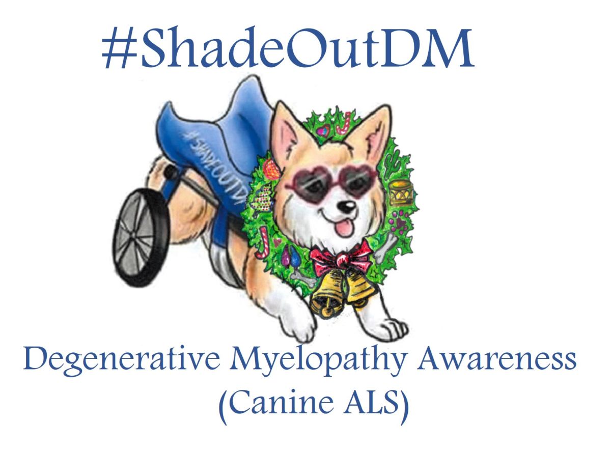 shadeoutdm