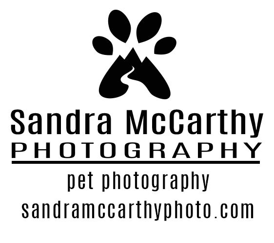 Project Photo
